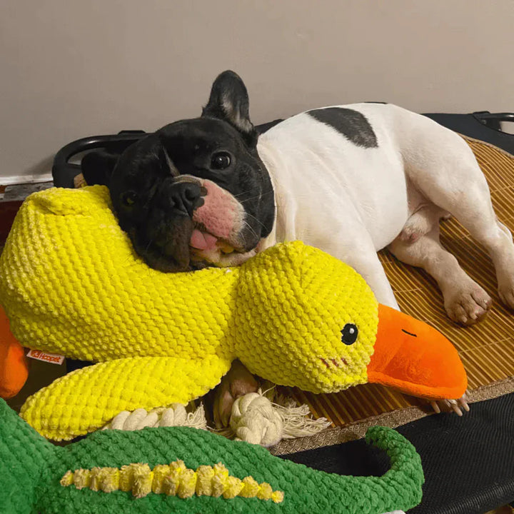 Calming Duck Dog Toy