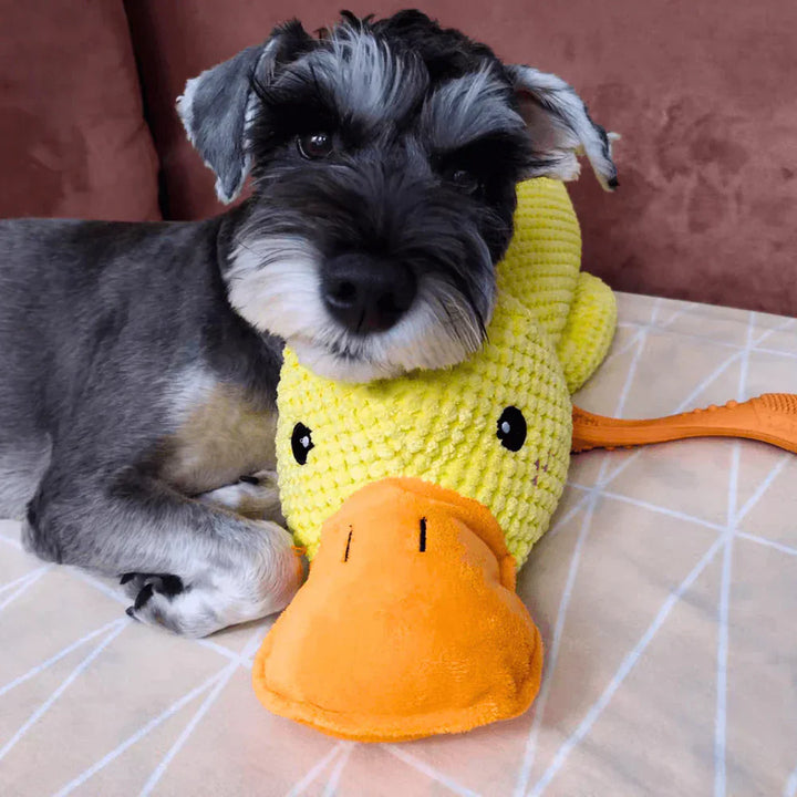 Calming Duck Dog Toy