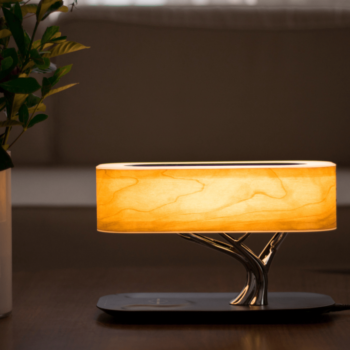 Light of Life Lamp – Elegant Modern Lamp with Soft Glow for Home or Office Decor