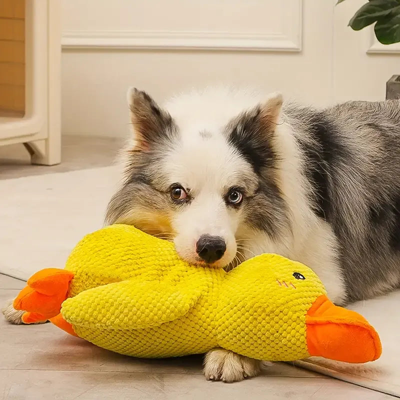 Calming Duck Dog Toy