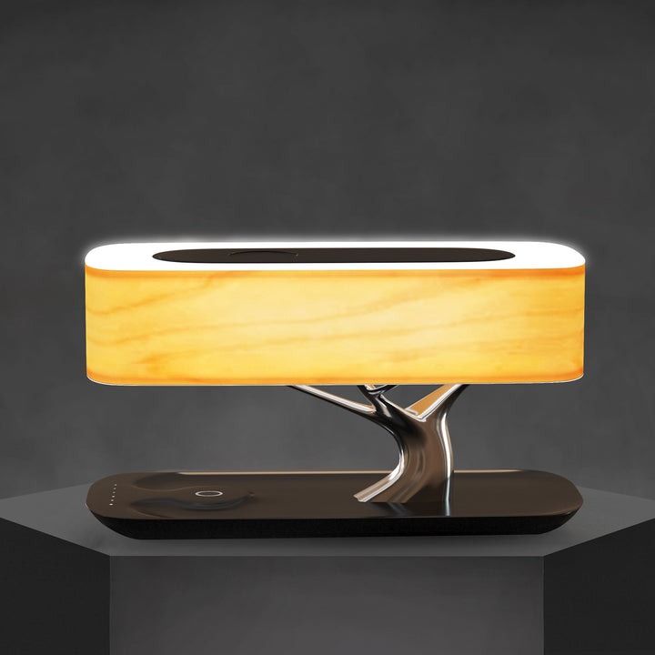 Light of Life Lamp – Elegant Modern Lamp with Soft Glow for Home or Office Decor