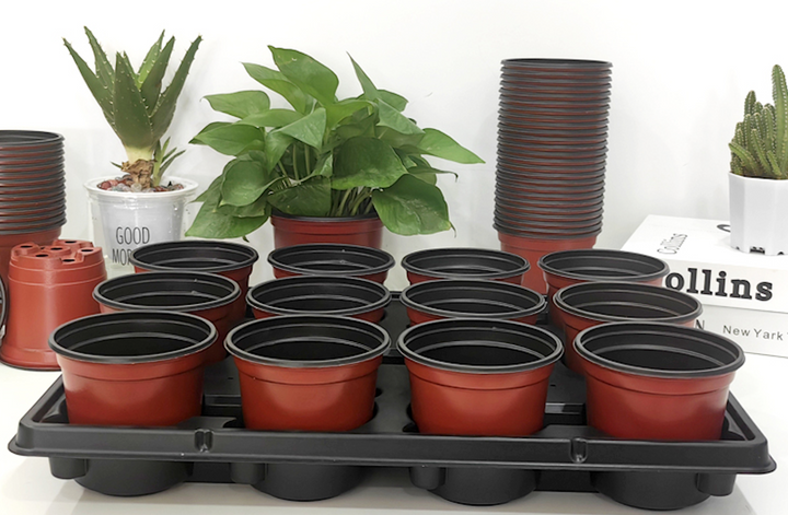 12-Cell Seedling Shuttle Kit (5-Pack)