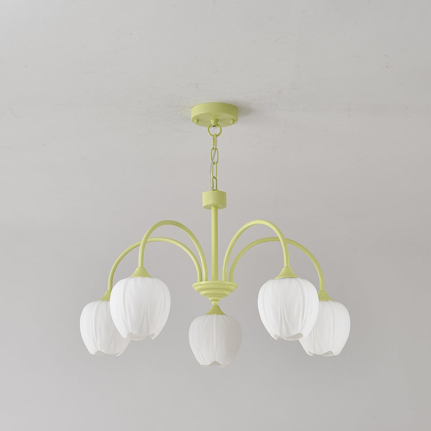 Tulip Matcha Chandelier