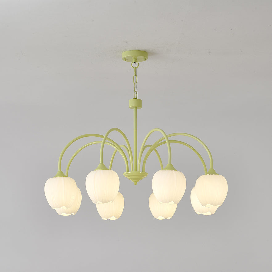 Tulip Matcha Chandelier