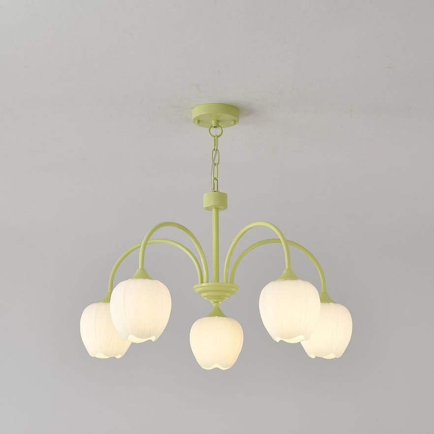 Tulip Matcha Chandelier