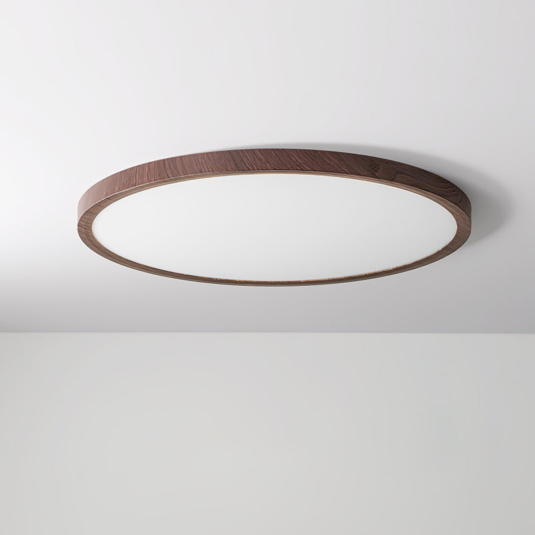 Ultrathin Round Ceiling Light