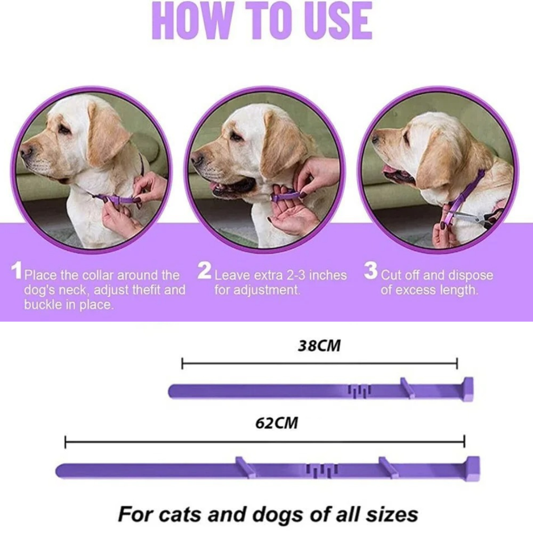 Calming Collar for Dogs and Cats - Natural